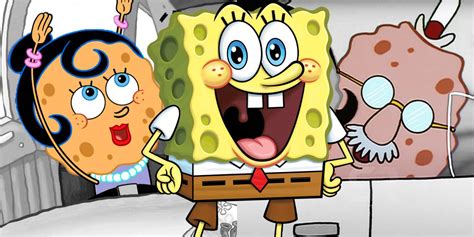 Spongebob Squarepants Kitchen Sponge Sea Reason