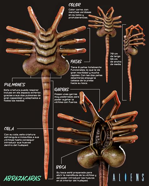 Every Xenomorph Alien Franchise Facehugger Explained