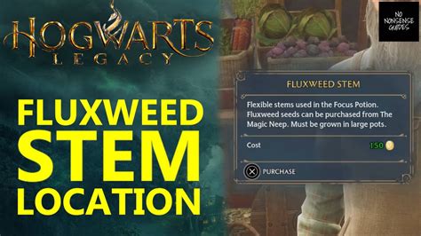 Where To Get Grow Fluxweed Stem Hogwarts Legacy