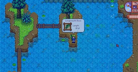 Where To Find Catch Largemouth Bass In Stardew Valley