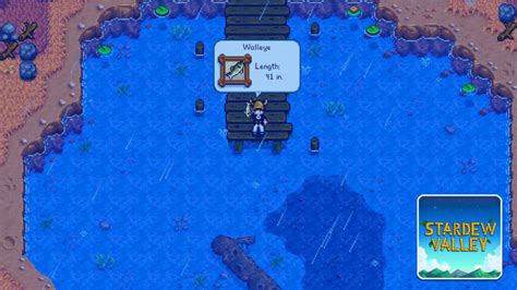 Where To Catch Walleye Stardew Valley