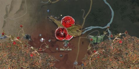 Where To Find Cranberries Location Fallout 76