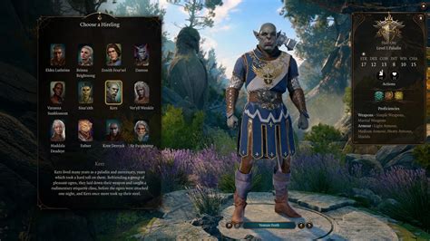Bg3 Hirelings Lore Story
