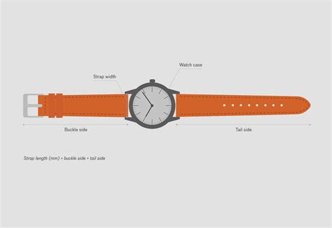 Galaxy Watch Strap Size Choose Right Band How