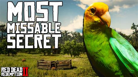 Carolina Parakeet Guide Rdr2 Red Dead Redemption