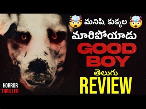 Good Boy Movie Review 2025