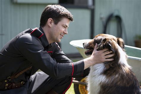 Rescued Ruby Dog Movies True Stories