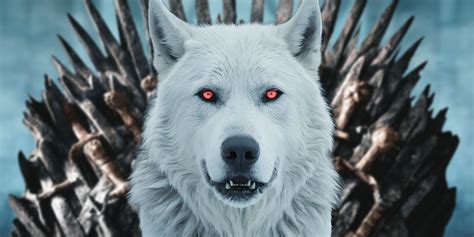 Game Of Thrones Direwolves Ranked Worst Best