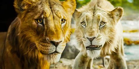 Mufasa Lion King Sequels Setup List