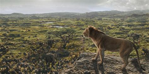 Mufasa The Lion King Kenya Africa Setting Confirmed Factoid