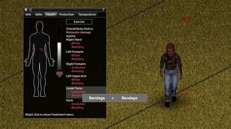 Project Zomboid Fix Laceration Heal Bandage Guide