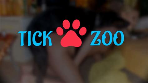 Tickzoo