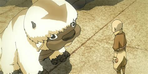 Avatar Last Airbender What Happened Appa After Ending