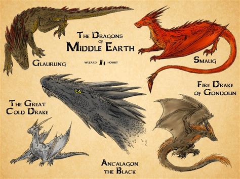 Lord Of The Rings All Dragons