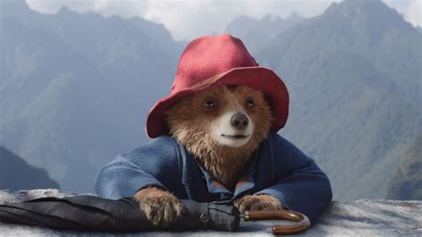 Paddington 4 Explained
