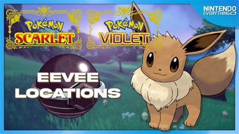Eevee Pokmon Scarlet Violet Find Catch Location