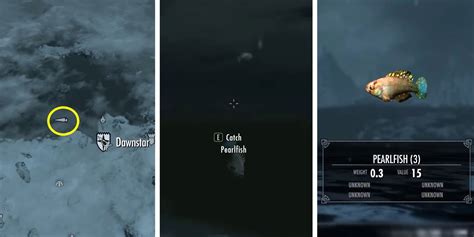 Skyrim Pearlfish Location Find