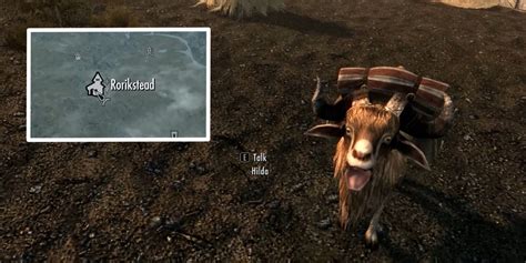 Skyrim Pets Quest Locations Guide
