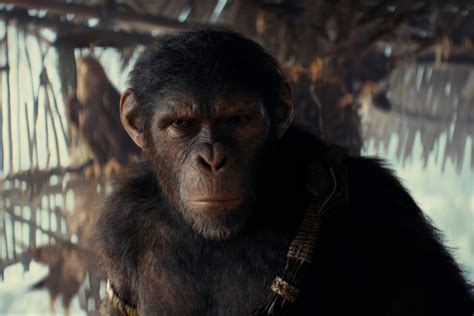 Dbmoviekingdom Of The Planet Of The Apes