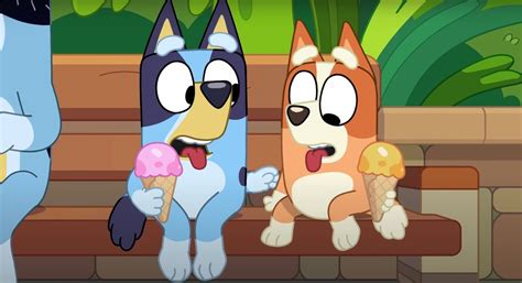 What Breed Of Dog Is Bluey