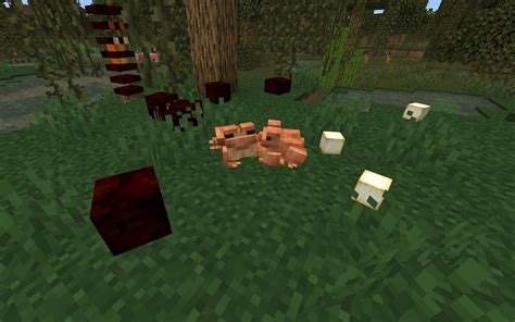 What Do Frogs Eat In Minecraft
