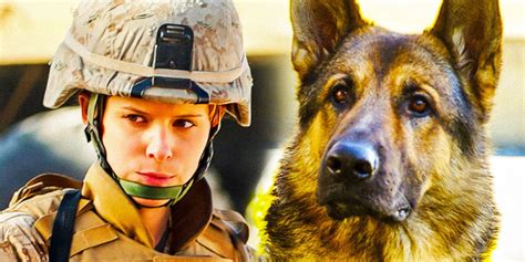 What Happened Real Megan Leavey Rex Dog After Movie