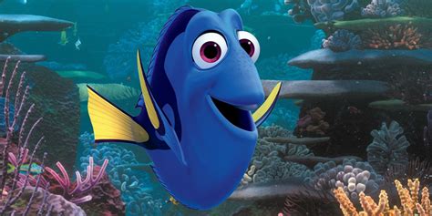 Finding Dory Movie Short Term Memory Loss Explained