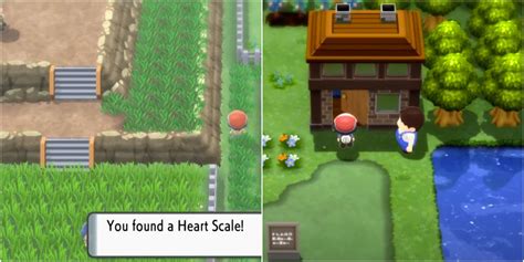 Find Use Heart Scales Move Tutor Pokemon Bdsp