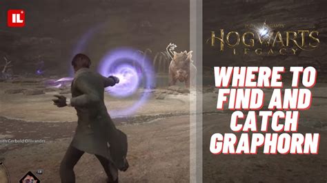 Find Catch Graphorn Hogwarts Legacy