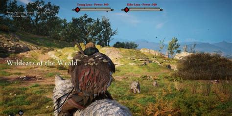 Find Defeat Legendary Wildcats Weald Assassins Creed Valhalla Hunting Guide