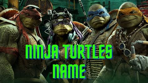 Teenage Mutant Ninja Turtles Names Character Guide