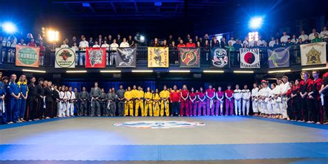 Is Sekai Taikai Real Competition Cobra Kai