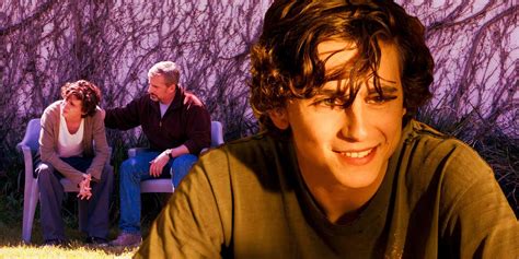 Is Beautiful Boy Based On A True Story Explained