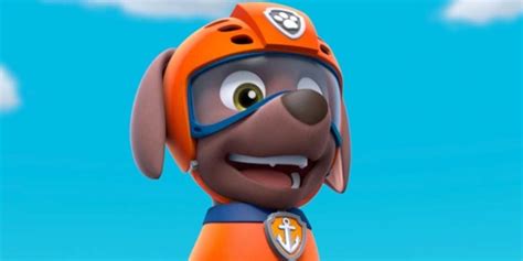 Is Zuma From Paw Patrol A Girl Or Boy Gender Explained