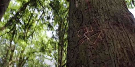 Yellowjackets Supernatural Evidence Support Against