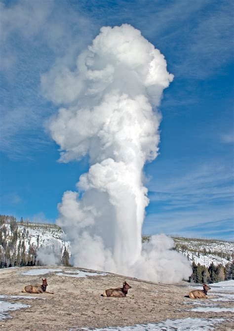 Yellowstone