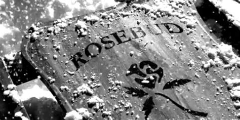Citizen Kane Rosebud Meaning Explained
