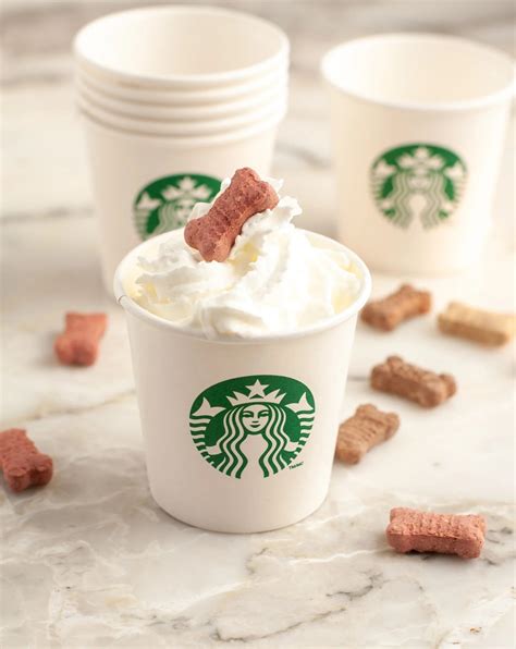 Pup Cuptarbucks