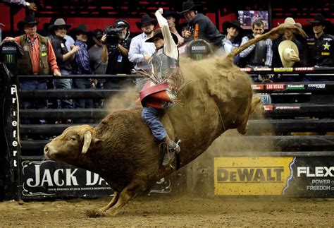 Bull Rider Killed