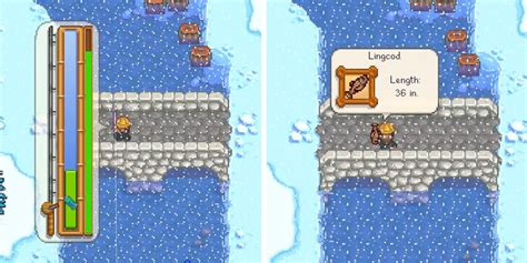 Stardew Valley Find Catch Lingcod Location Guide