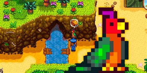 Stardew Valley Golden Coconuts Rewards