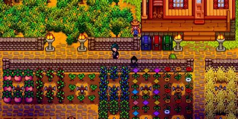 Stardew Valley Year One Crops Mining Upgrades