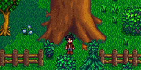 Stardew Valley How To Find Big Tree