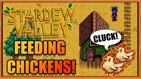 Stardew Valley Feed Chickens Guide