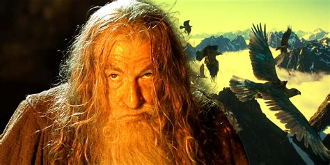 Why Gandalf Says Fly You Fools Ridiculous Lotr Eagles Theory Debunked