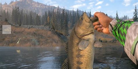 Far Cry 5 Every Fishing Record Where Beat Them