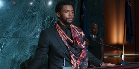 Black Panther Post Credits Scene Bucky Return Explained