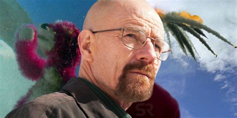 Breaking Bad Plane Crash Walter White Real Event