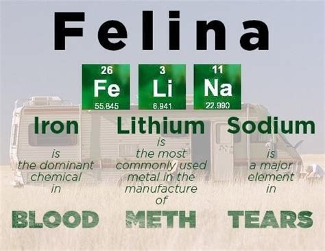 Breaking Bad Finale Title Felina Meaning