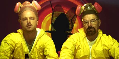 Breaking Bad Fly Explained Episode Meaning